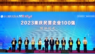 喜报：潜能集团第五次蝉联“重庆市民营企业100强”